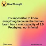 It’s impossible to know everything because the human brain has a max capacity of 2.5 Petabytes, not infinite!