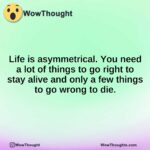 Life is asymmetrical. You need a lot of things to go right to stay alive and only a few things to go wrong to die.