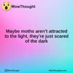 Maybe moths aren’t attracted to the light, they’re just scared of the dark