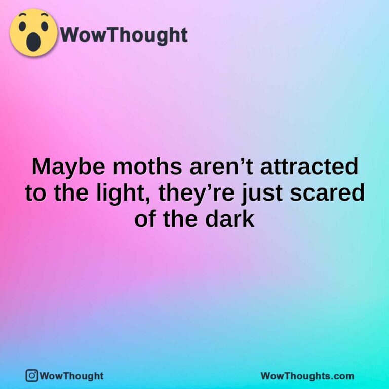 Maybe moths aren’t attracted to the light, they’re just scared of the dark