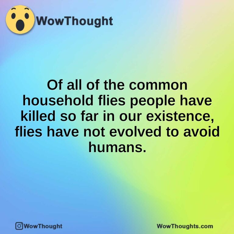 Of all of the common household flies people have killed so far in our existence, flies have not evolved to avoid humans.
