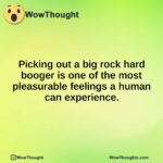 Picking out a big rock hard booger is one of the most pleasurable feelings a human can experience.