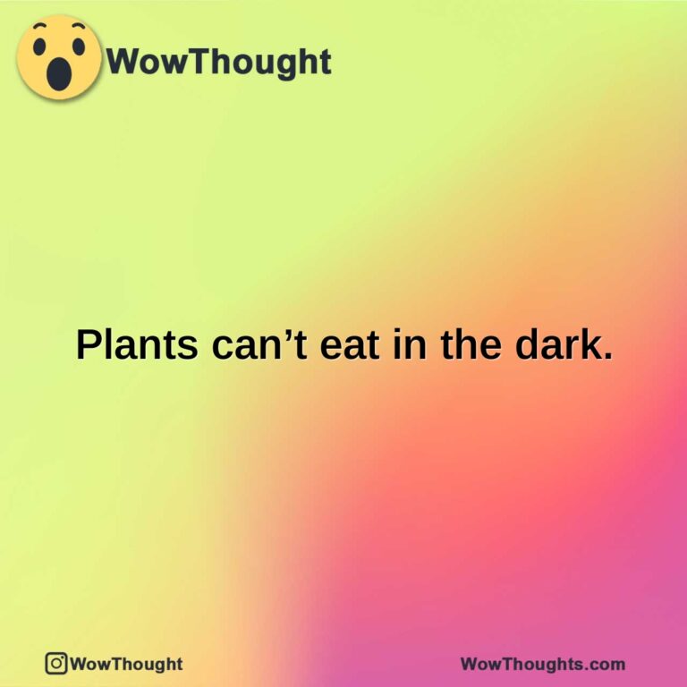 Plants can’t eat in the dark.