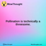Pollination is technically a threesome.