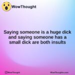 Saying someone is a huge dick and saying someone has a small dick are both insults