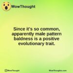 Since it’s so common, apparently male pattern baldness is a positive evolutionary trait.
