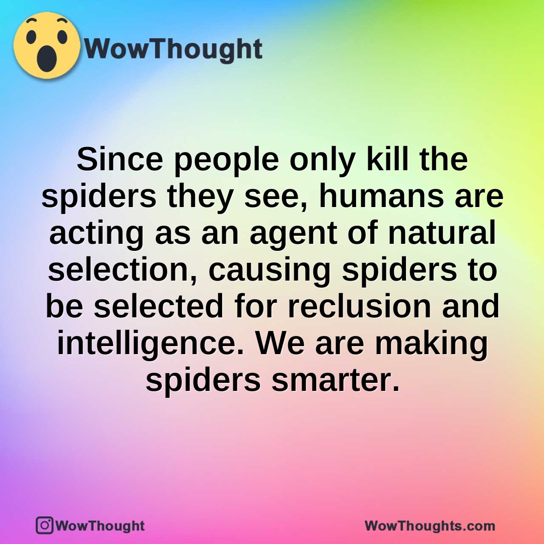 Since people only kill the spiders they see, humans are acting as an agent of natural selection, causing spiders to be selected for reclusion and intelligence. We are making spiders smarter.