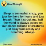 Sleep is somewhat crazy, you just lay there for hours and just breath. Then it struck me, half the world is always asleep on our planet. Billions of creatures just away from reality and breathing. Always.