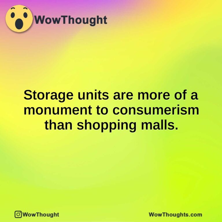 Storage units are more of a monument to consumerism than shopping malls.