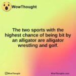 The two sports with the highest chance of being bit by an alligator are alligator wrestling and golf.