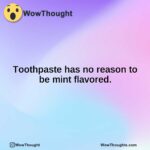 Toothpaste has no reason to be mint flavored.