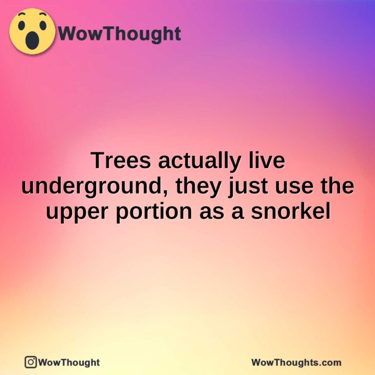 Trees actually live underground, they just use the upper portion as a snorkel