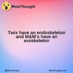 Twix have an endoskeleton and M&M’s have an exoskeleton