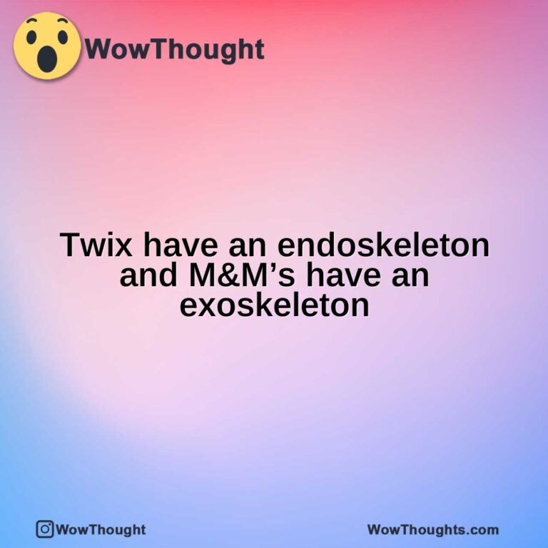 Twix have an endoskeleton and M&M’s have an exoskeleton