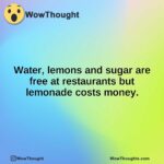 Water, lemons and sugar are free at restaurants but lemonade costs money.