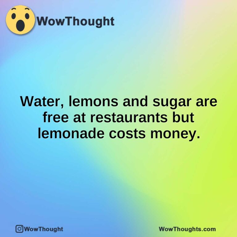 Water, lemons and sugar are free at restaurants but lemonade costs money.