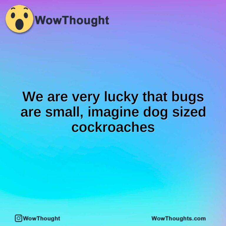 We are very lucky that bugs are small, imagine dog sized cockroaches