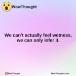 We can’t actually feel wetness, we can only infer it.