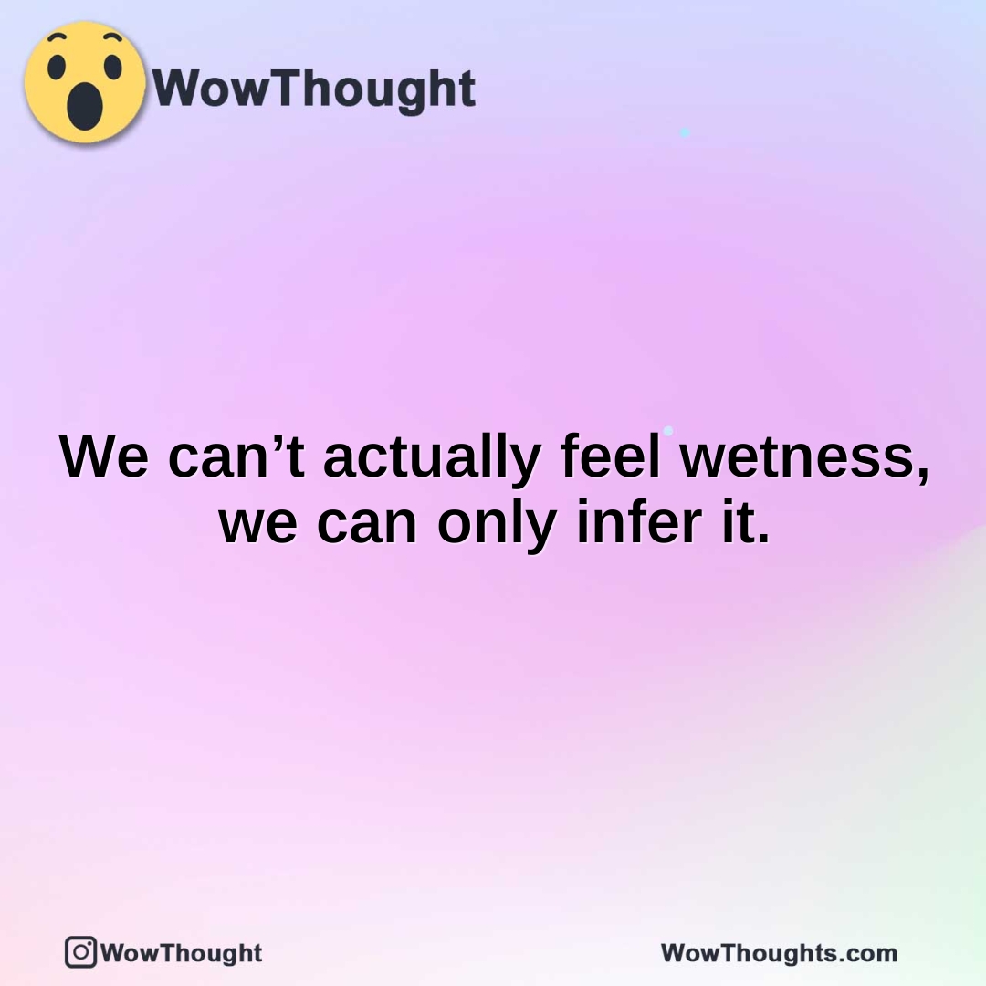 We can’t actually feel wetness, we can only infer it.