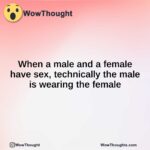 When a male and a female have sex, technically the male is wearing the female