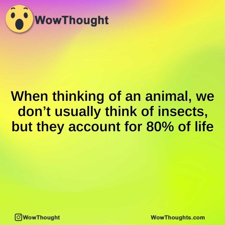 When thinking of an animal, we don’t usually think of insects, but they account for 80% of life