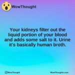 Your kidneys filter out the liquid portion of your blood and adds some salt to it. Urine it’s basically human broth.