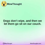 Dogs don’t wipe, and then we let them go sit on our couch.