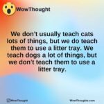 We don’t usually teach cats lots of things, but we do teach them to use a litter tray. We teach dogs a lot of things, but we don’t teach them to use a litter tray.
