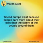 Speed bumps exist because people care more about their cars than the safety of the people around them.