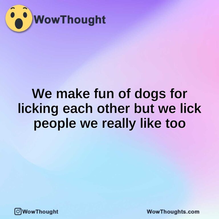 We make fun of dogs for licking each other but we lick people we really like too