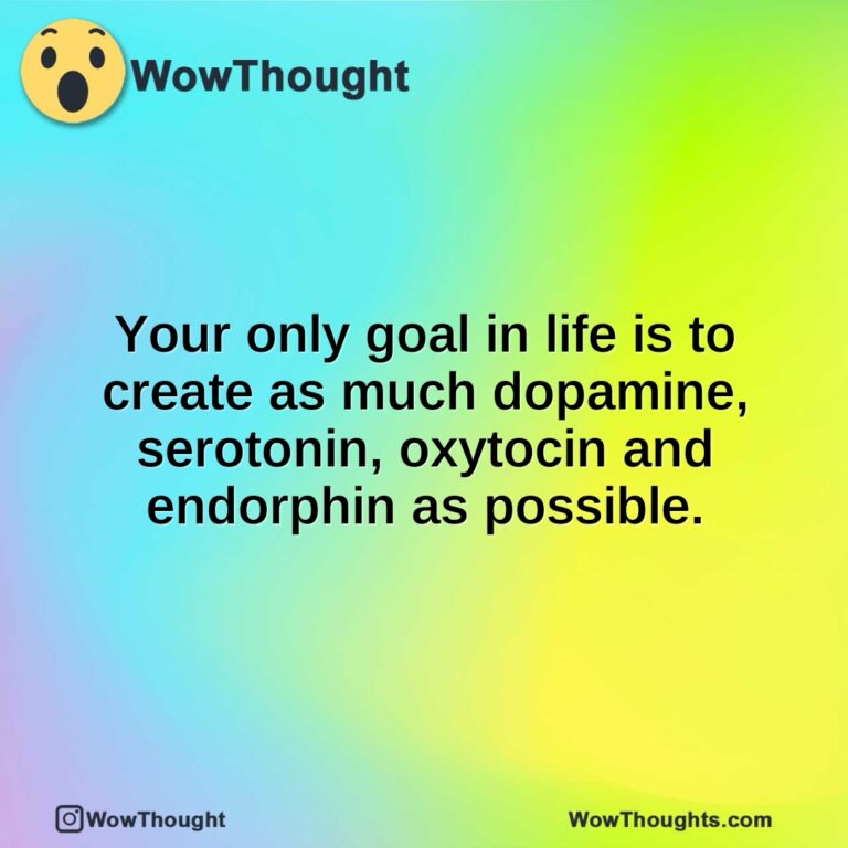 Your only goal in life is to create as much dopamine, serotonin, oxytocin and endorphin as possible.