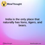India is the only place that naturally has lions, tigers, and bears.
