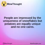 People are impressed by the uniqueness of snowflakes but potatoes are equally unique and no one cares.