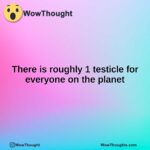 There is roughly 1 testicle for everyone on the planet