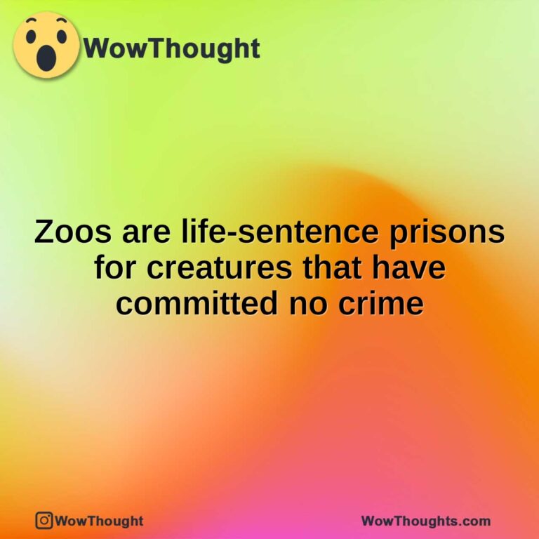Zoos are life-sentence prisons for creatures that have committed no crime