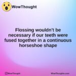 Flossing wouldn’t be necessary if our teeth were fused together in a continuous horseshoe shape