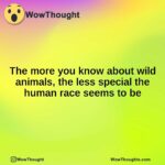 The more you know about wild animals, the less special the human race seems to be