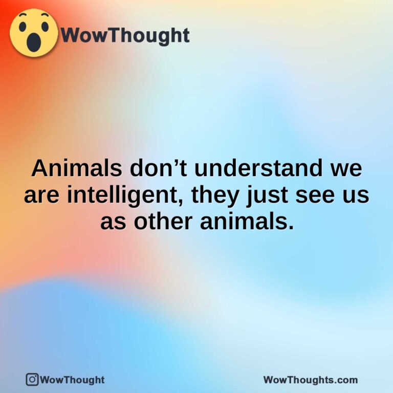 Animals don’t understand we are intelligent, they just see us as other animals.