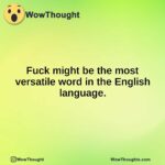 Fuck might be the most versatile word in the English language.