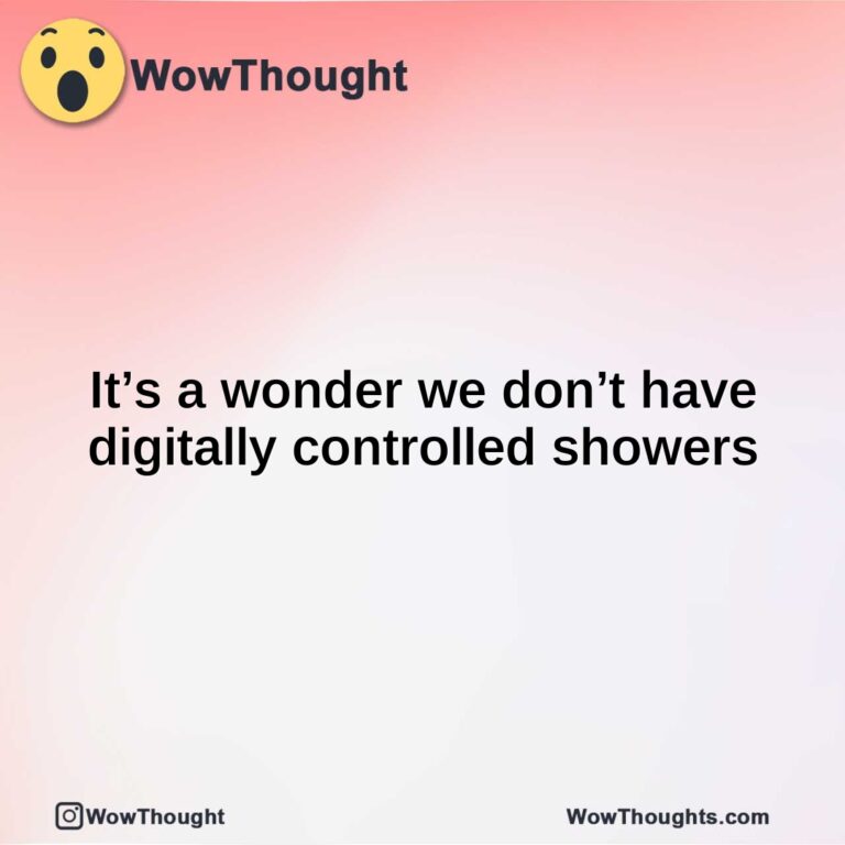 It’s a wonder we don’t have digitally controlled showers