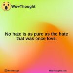 No hate is as pure as the hate that was once love.