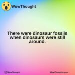 There were dinosaur fossils when dinosaurs were still around.