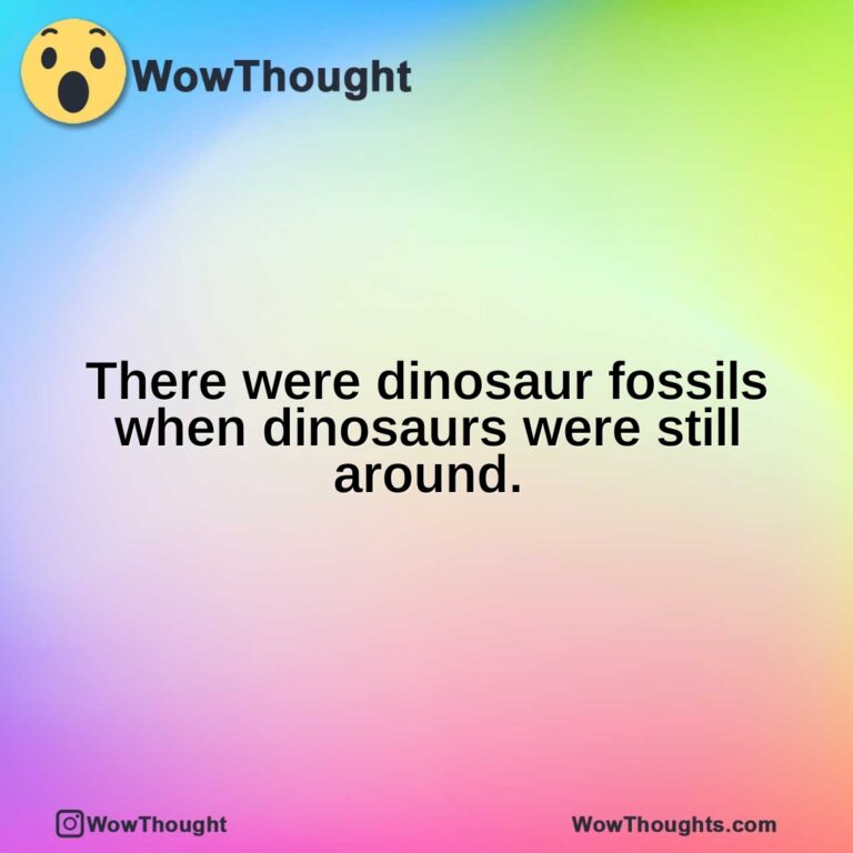 There were dinosaur fossils when dinosaurs were still around.