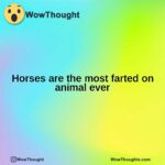 Horses are the most farted on animal ever