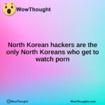 North Korean hackers are the only North Koreans who get to watch porn