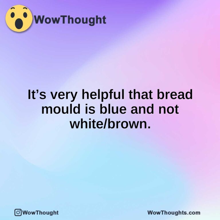 It’s very helpful that bread mould is blue and not white/brown.