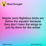 Maybe most flightless birds are below the equator because they don’t have the wings to just fly there for the winter