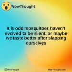 It is odd mosquitoes haven’t evolved to be silent, or maybe we taste better after slapping ourselves