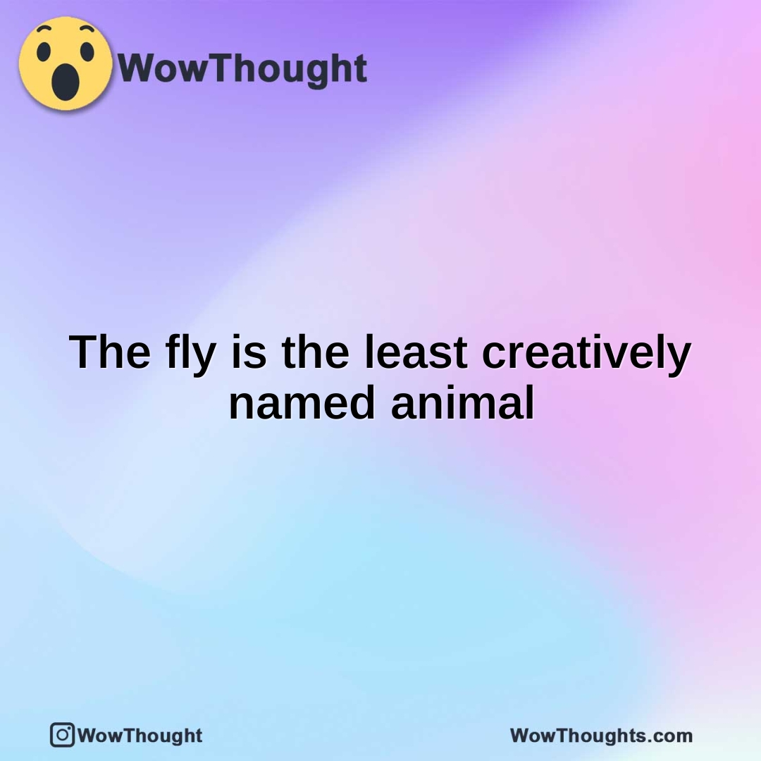 The fly is the least creatively named animal