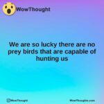 We are so lucky there are no prey birds that are capable of hunting us